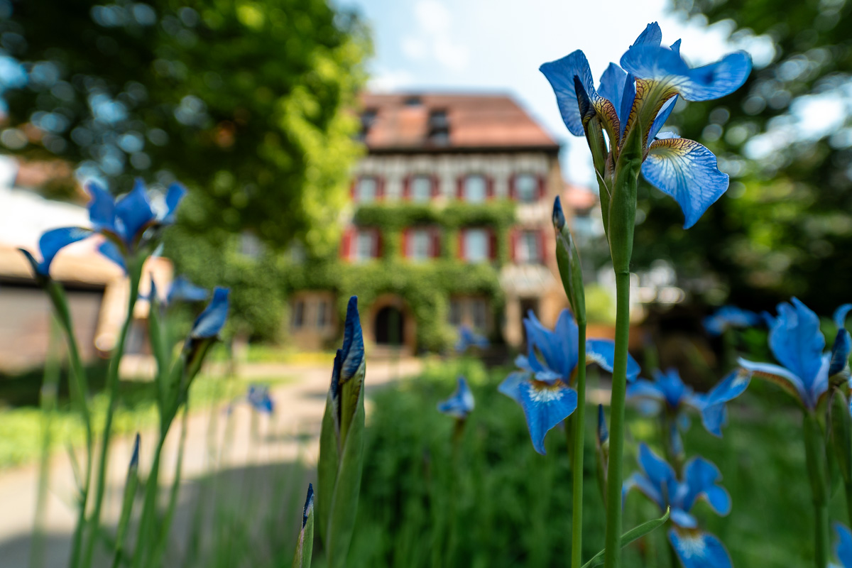 Reutlingen (in 14mm)