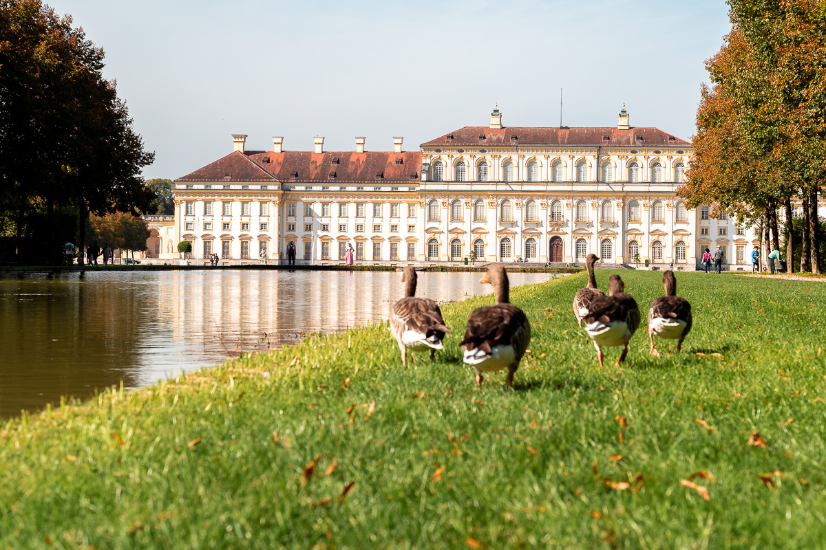 Blick auf Schloß Schleißheim vom Östlichen Kanal aus. Einige Gänse watscheln durch das Bild.